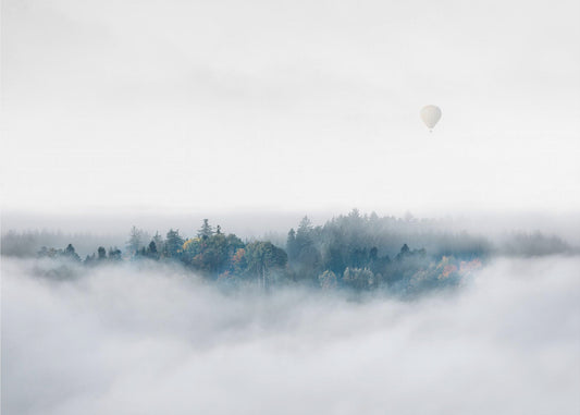 Surprise du matin brumeux | Papier Peint Photo
