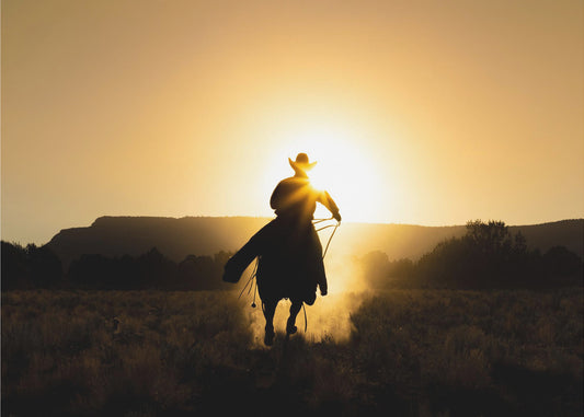 El vaquero | Impresiones en Lienzo