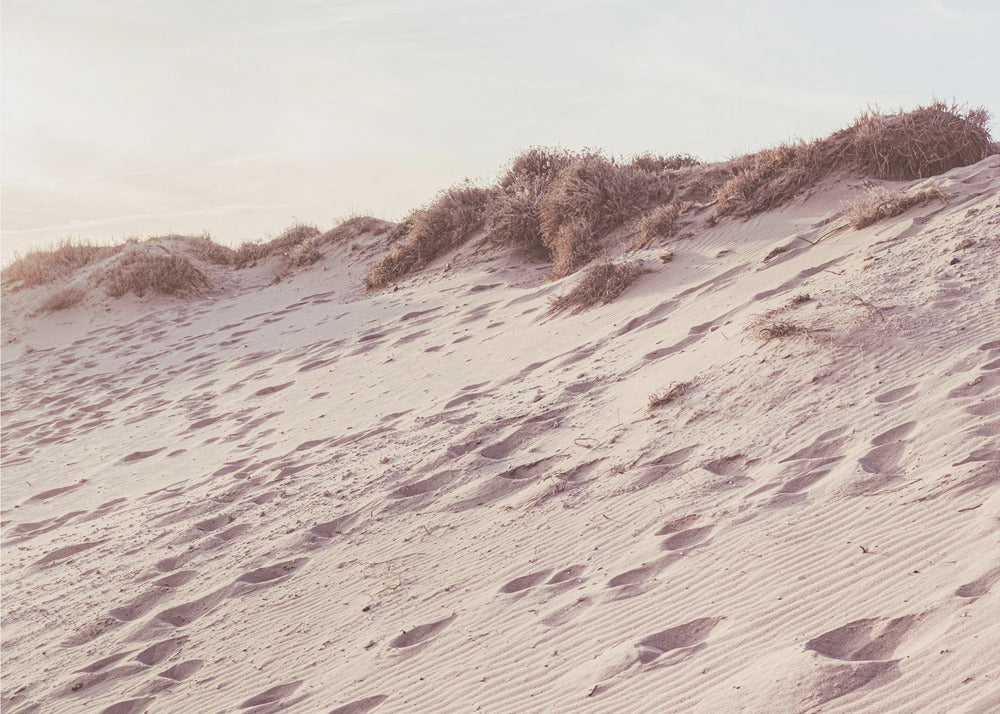 Strand_009 | Fototapeten