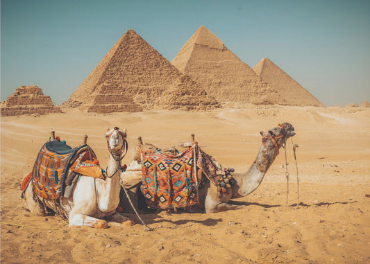 Besøg til pyramiderne | Lærredsbilleder