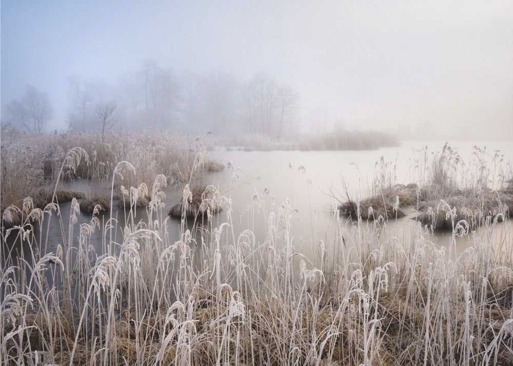 Winter in Beieren | Fotobehang