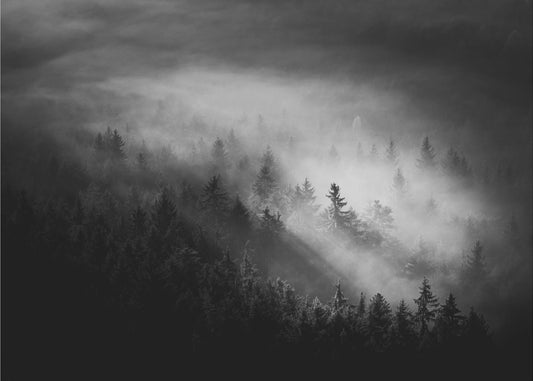 Tåget | Fototapeter