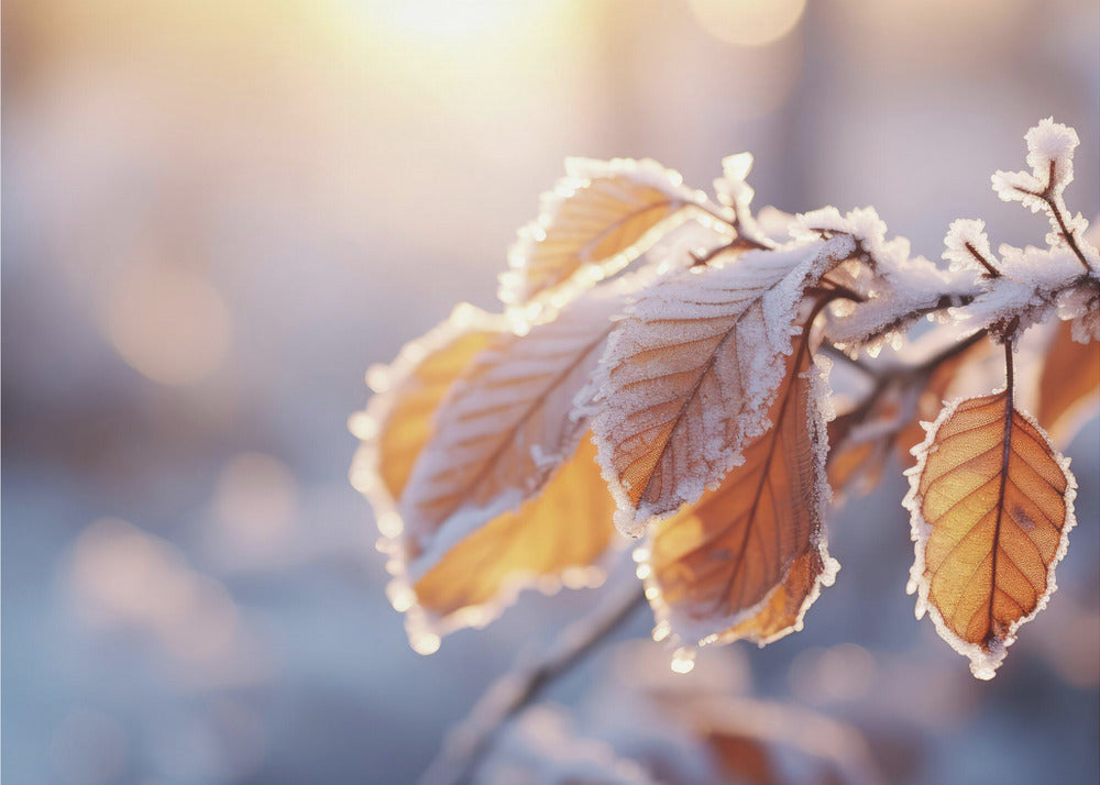 Impresiones de invierno nº 10 | Papel Pintado Fotográfico