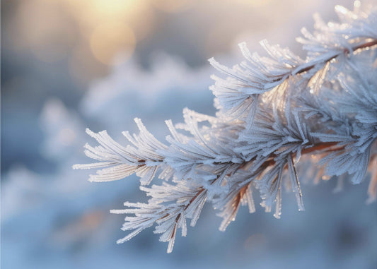 Winterimpressies nr. 7 | Fotobehang