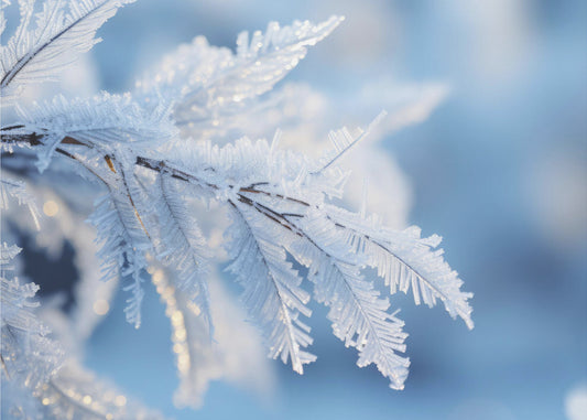 Winterimpressies nr. 6 | Fotobehang