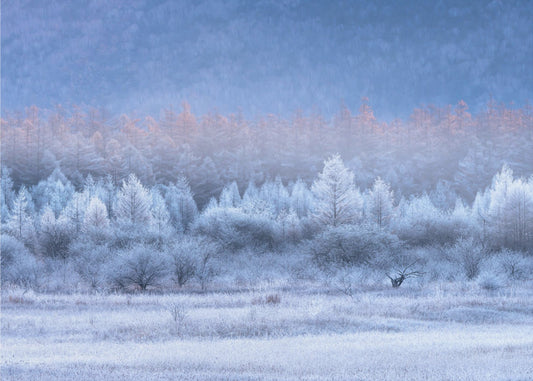 Herbst- und Winterfarbverläufe | Fototapeten