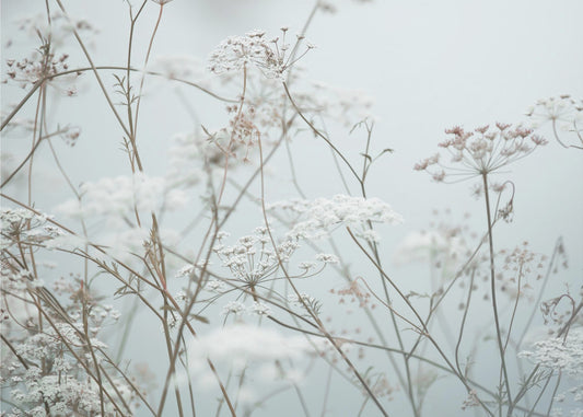Sommerøyeblikk 12 | Lerretsbilder