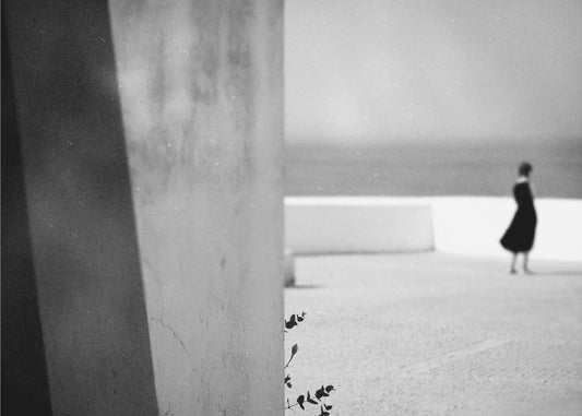Liten gren | Lerretsbilder