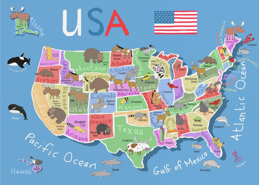 Geïllustreerde kaart van de Verenigde Staten van Amerika door Carla Daly | Canvasprints