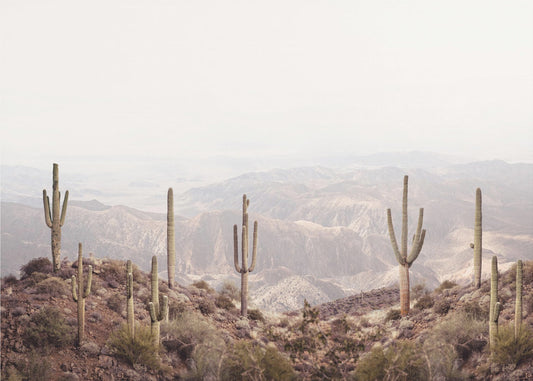 Arizona-dalen | Lerretsbilder