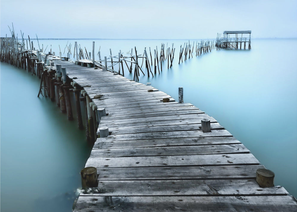 Carrasqueira II | Papier Peint Photo