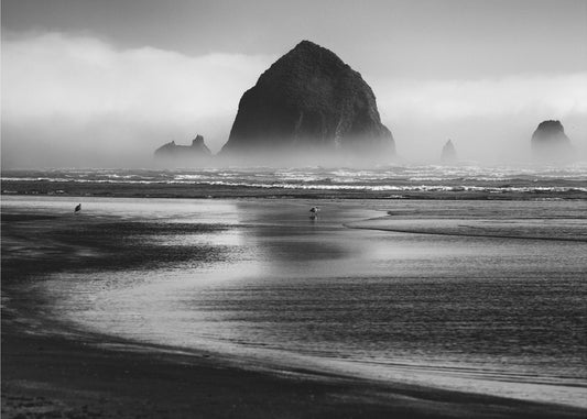 Cannon Beach | Poster - Kunstdruck