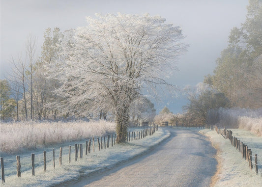 Mroźny poranek | Fototapeta