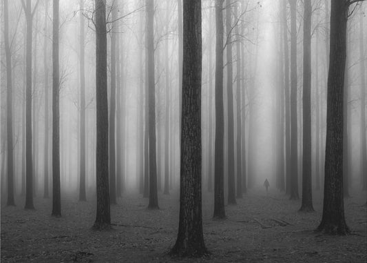 Im Nebel | Poster - Kunstdruck