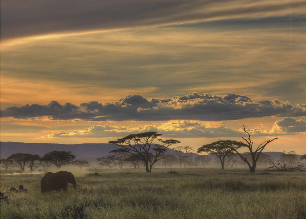 Africa | Poster - Stampe d’Arte