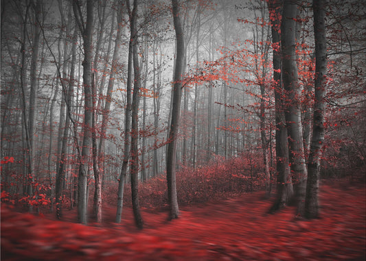 Bloody River | Wallpaper