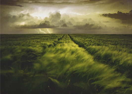 Viaggio verso la tempesta feroce | Carta da Parati Fotografica