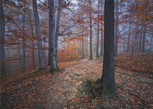 I was lost I was found | Wallpaper