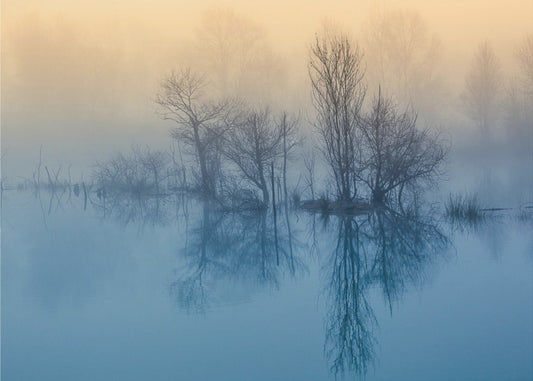 Poranna refleksja | Plakaty - Wydruki Artystyczne
