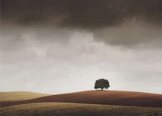 Ho dovuto fermarmi quando l'ho vista | Carta da Parati Fotografica
