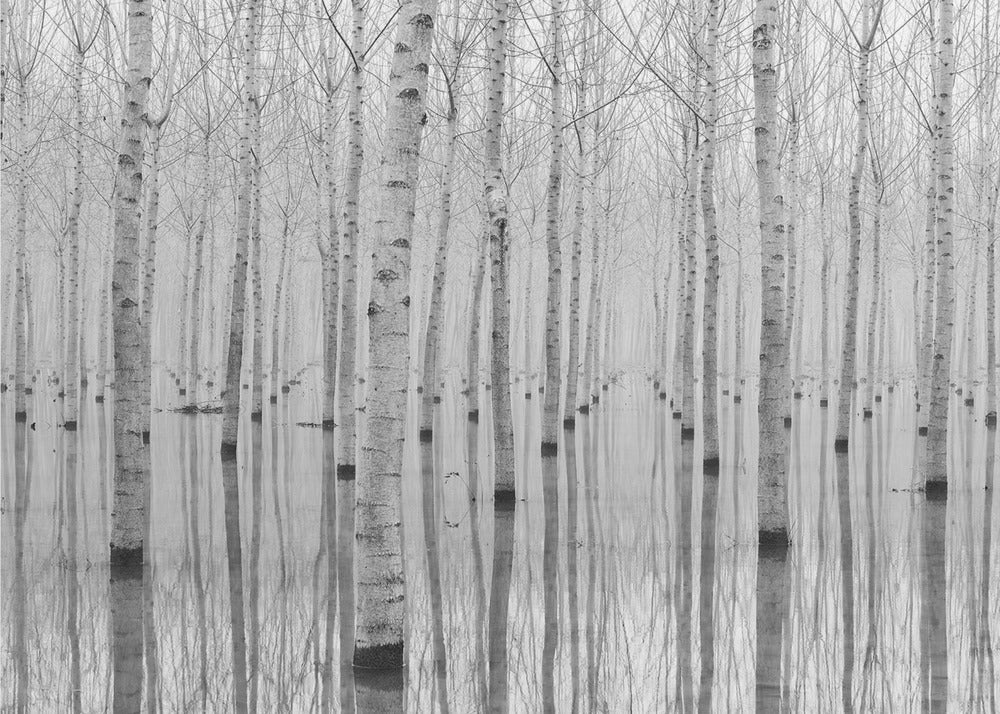 November 2014 | Fototapeter