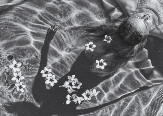 Frangipani-tre | Lerretsbilder