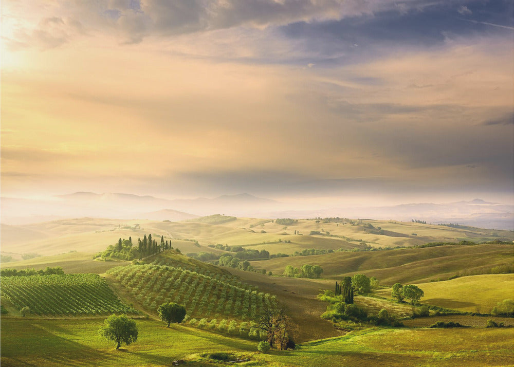 Podere Belvedere's Sunrise | Wallpaper