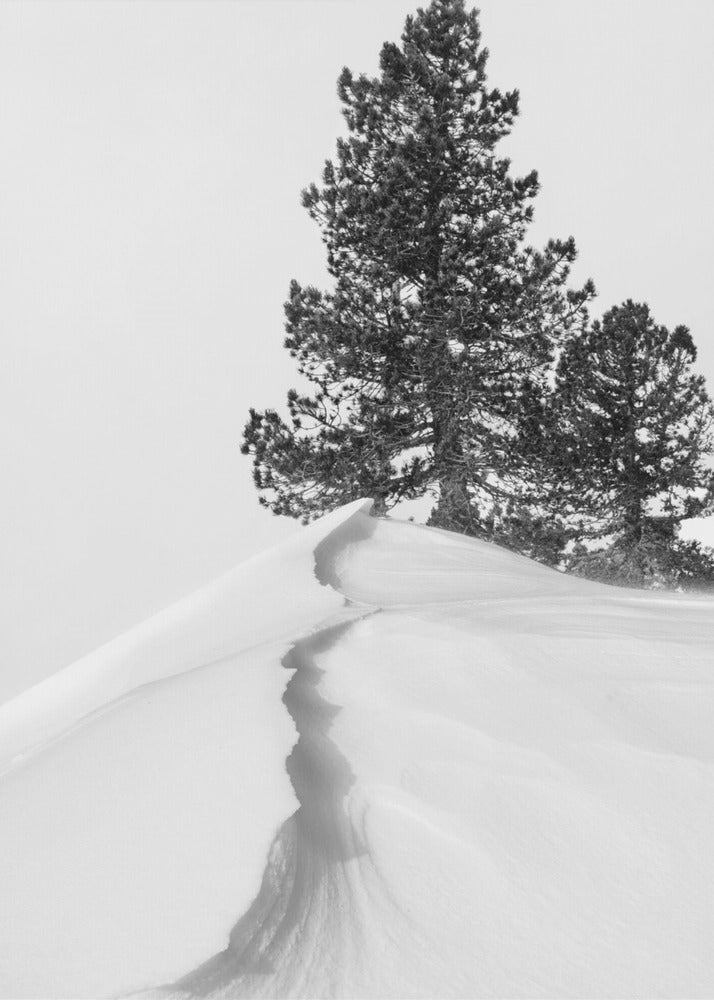 Om snön och formerna | Canvas