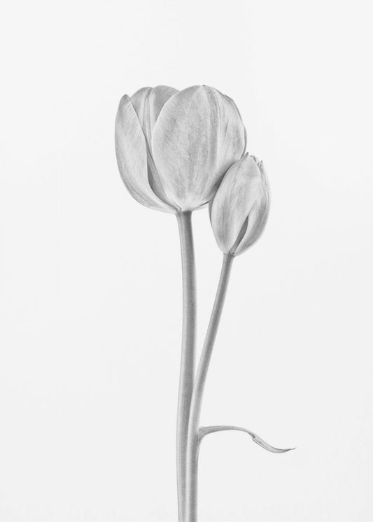 Ansluten | Canvas