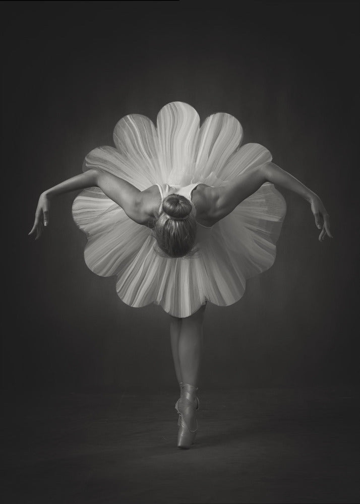 Blumenballett | Leinwand-Bilder