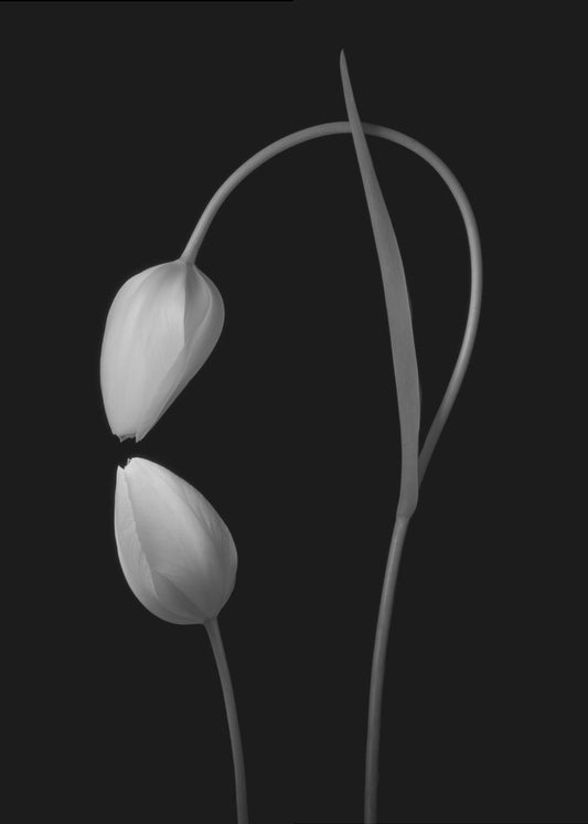 Kärlek | Canvas