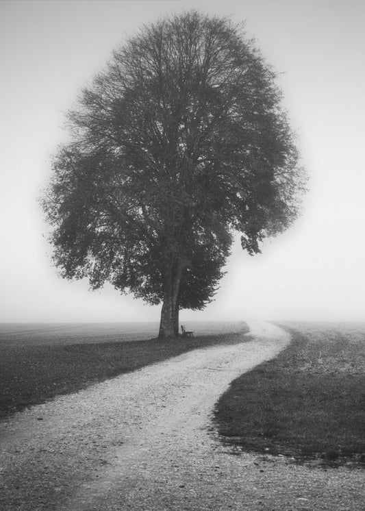 Poet | Canvas