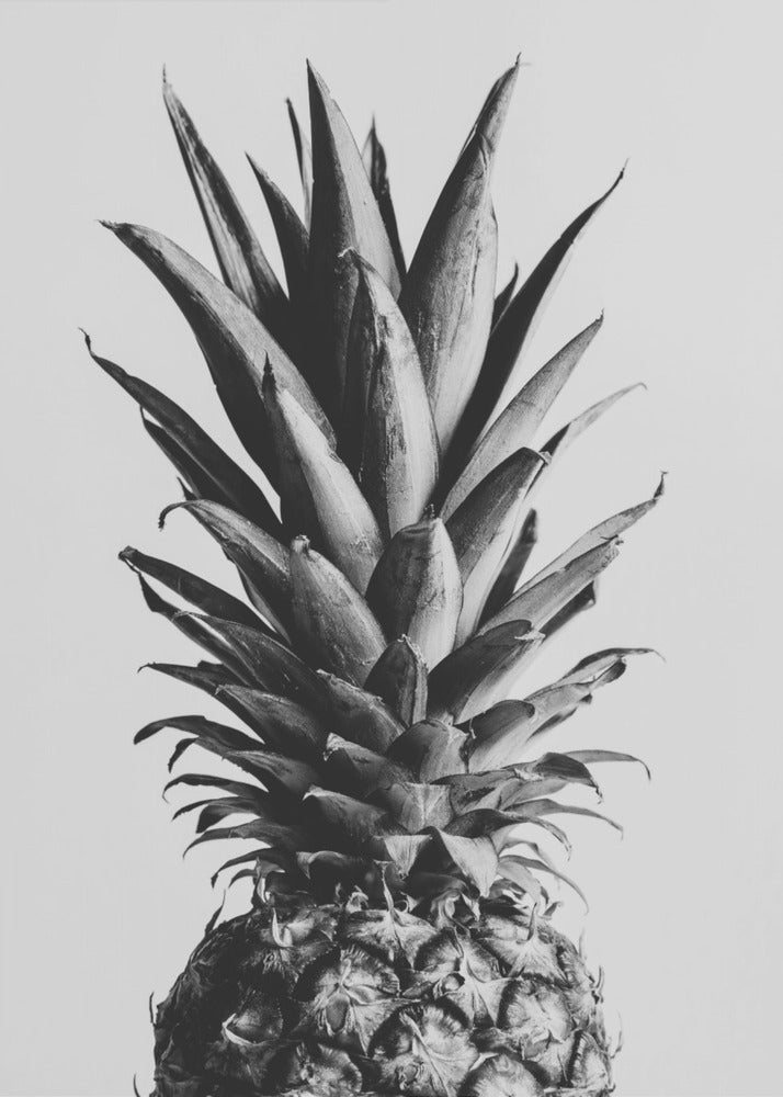 Ananas Zwart & Wit 02 | Canvasprints