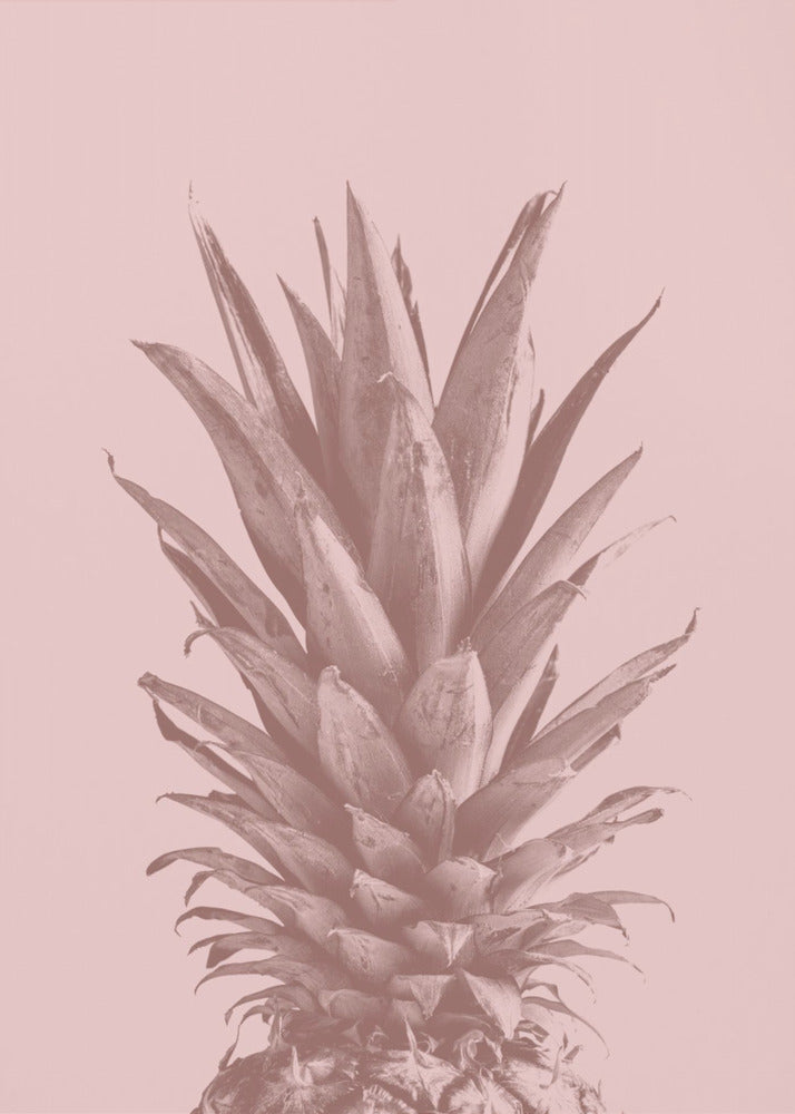 Piña Rosa 05 | Posters  - Impresiones de Arte