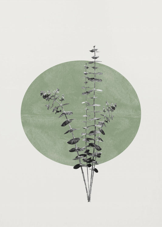 Eucalyptus et Lune Verte | Tableaux sur Toile