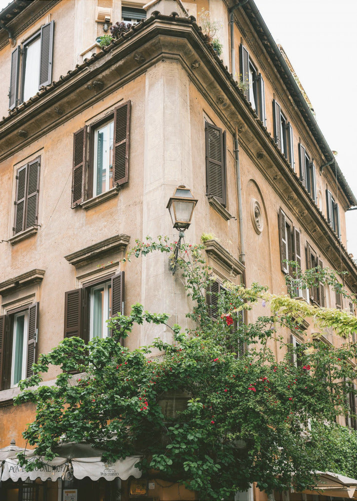 Botanical Trastevere Rome || | Canvas