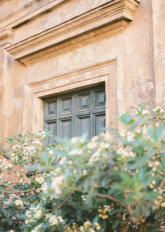 Botanical Trastevere Rome | Canvas