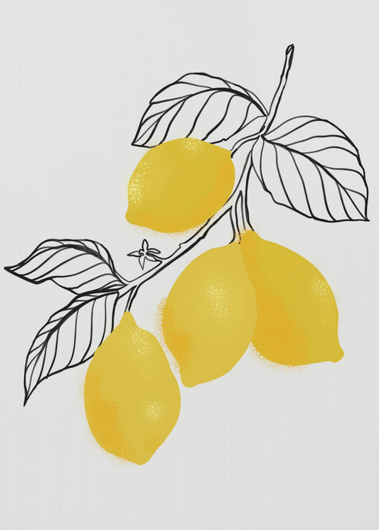 Citroner | Lærredsbilleder
