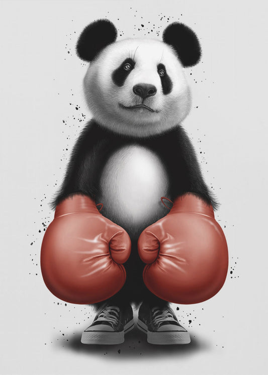 PANDA BOXER | Lærredsbilleder