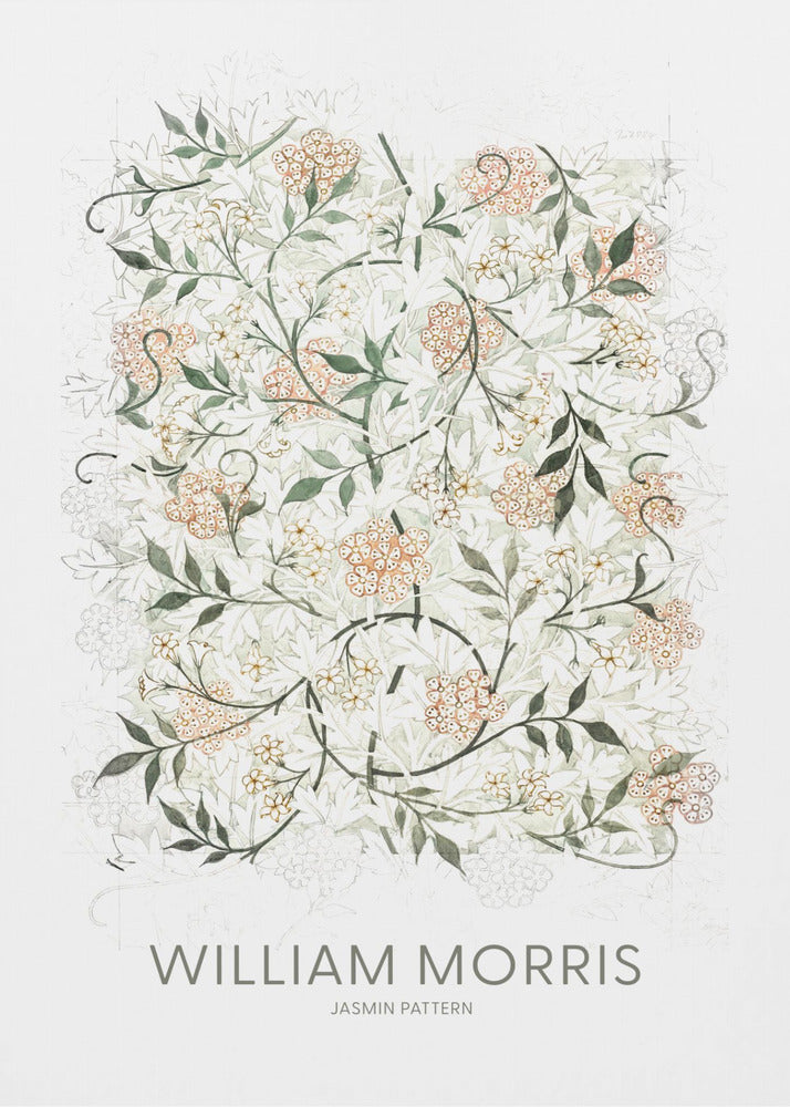 Jasmin | Canvas