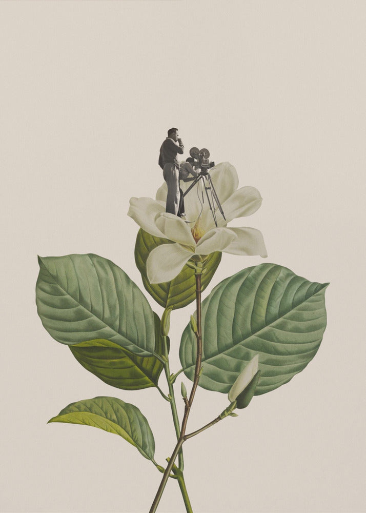 Cameraman botanico d'epoca | Stampe su Tela
