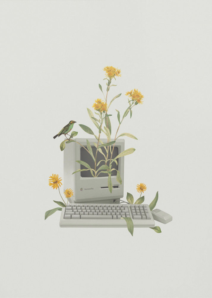 Blumen-Vintage-Computer | Leinwand-Bilder