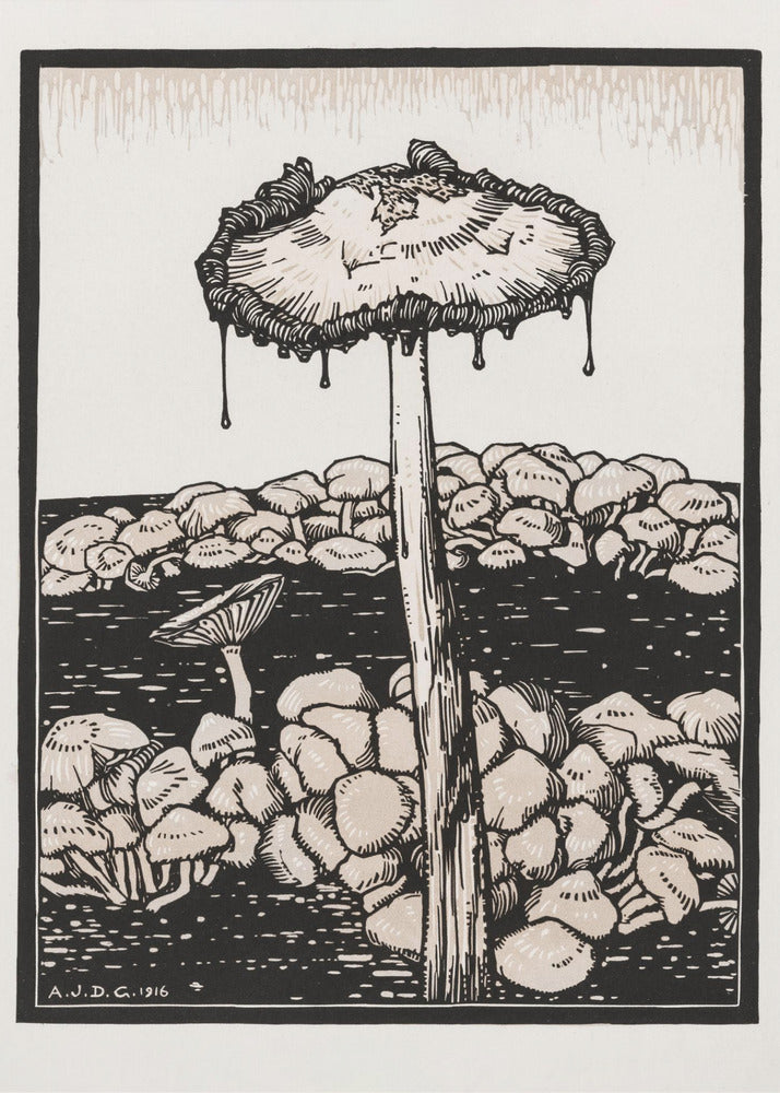 Fungo gocciolante 1916 | Stampe su Tela