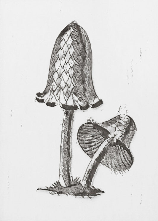 Champignon comestible vintage à capuchon d'encre BW Bright | Tableaux sur Toile