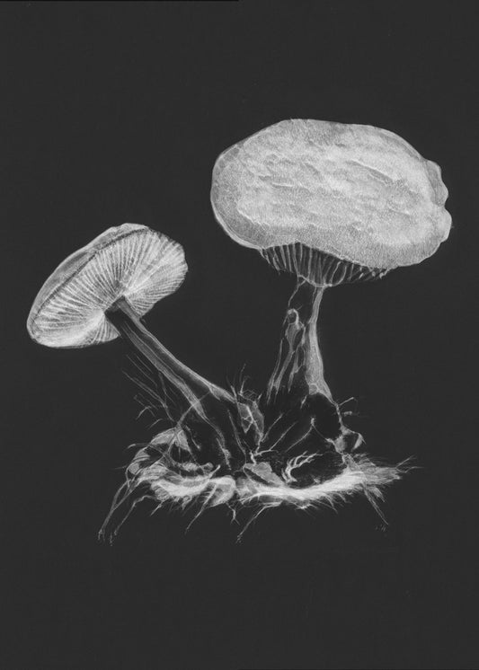 Vintage Violet Webcap Mushroom Dark BW | Wydruki na łótnie