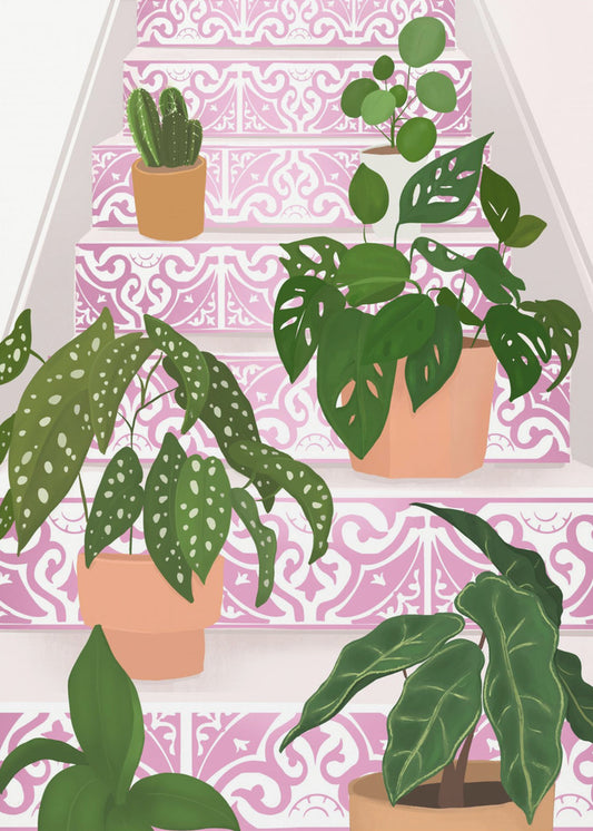 Planter | Lærredsbilleder