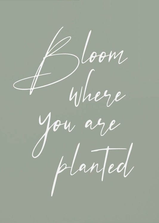 Bloei | Canvasprints
