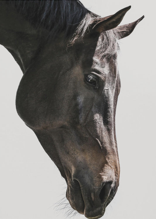 Bingo | Tableaux sur Toile