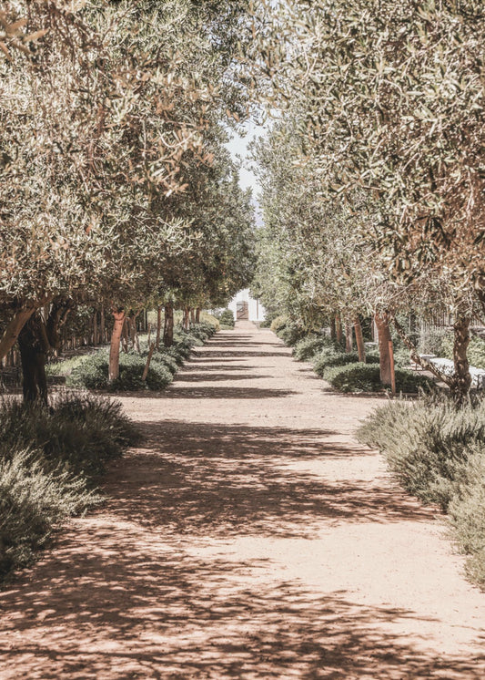 Jardin secret | Tableaux sur Toile