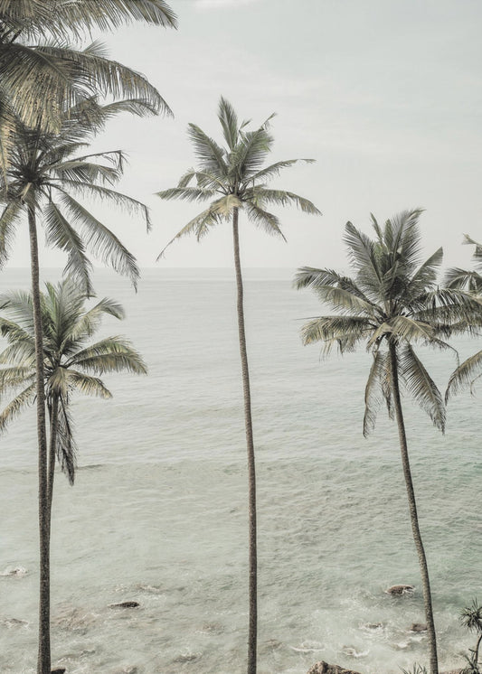 Rêves tropicaux | Tableaux sur Toile